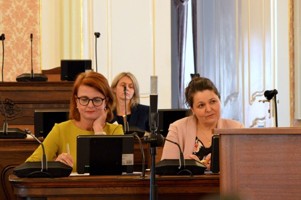 Konference: EFEKTIVN PEDAGOGIKA ELEMENTRN TENSK GRAMOTNOSTI - fotogalerie